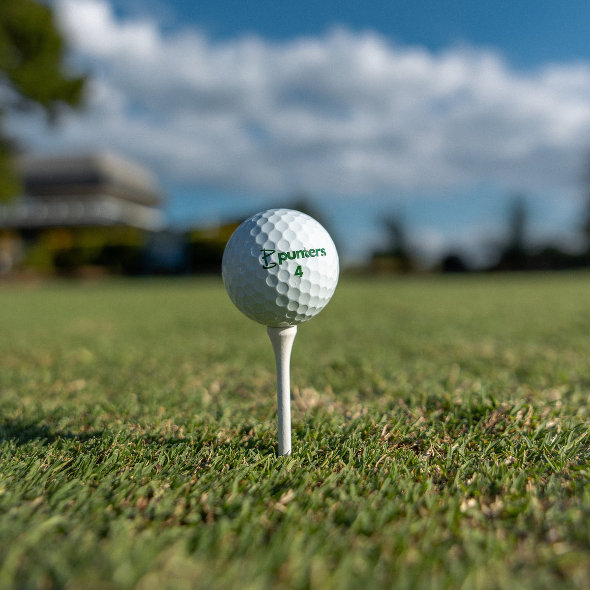 Birdie Balls - Puntersa